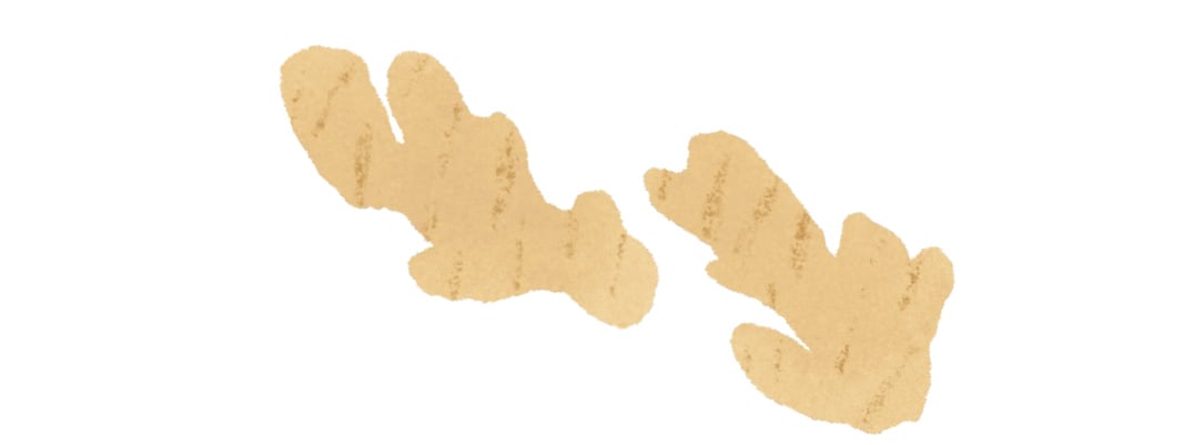 illustration of 2 pieces of ginger