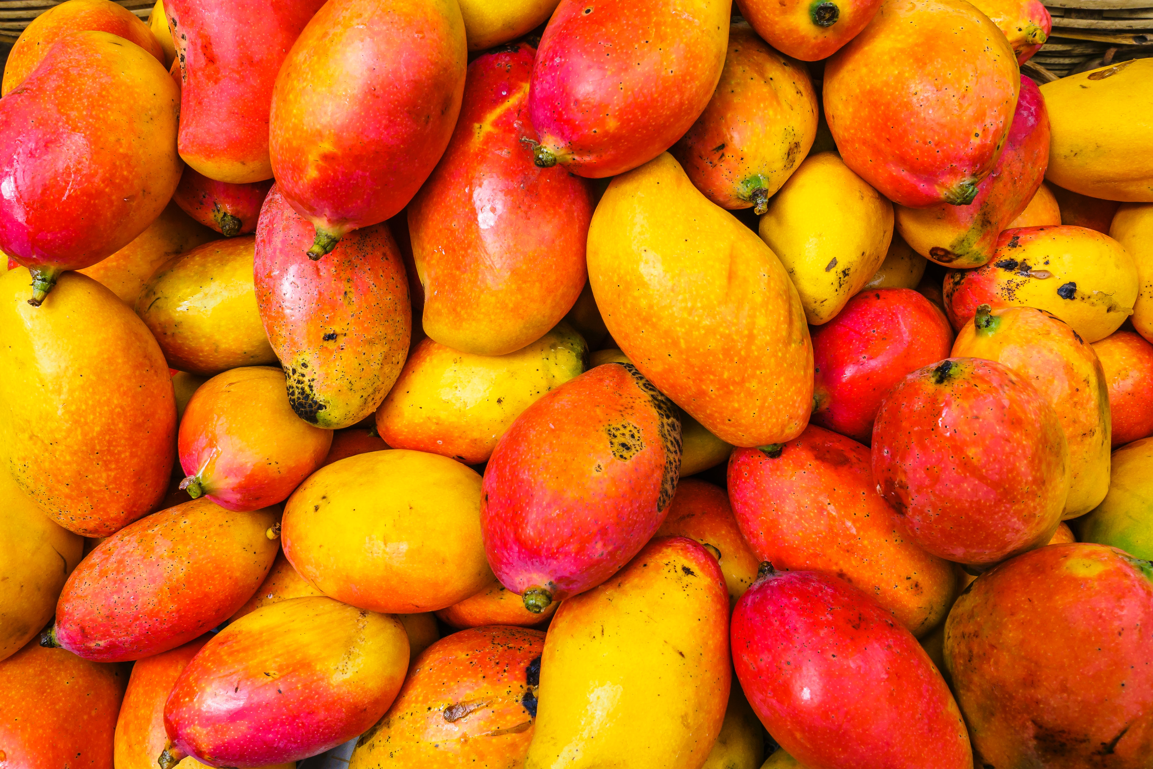 mangoes