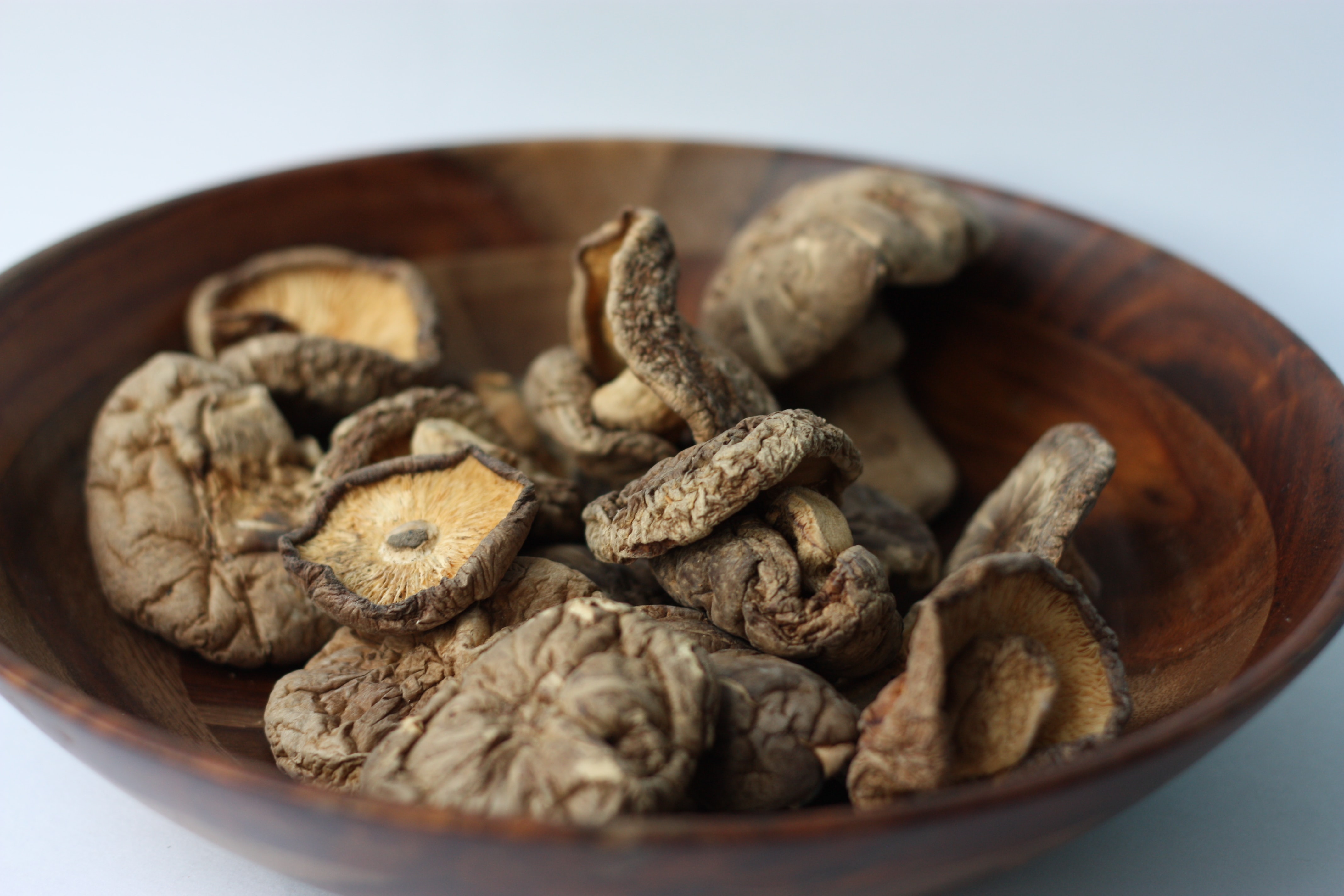 adaptogens