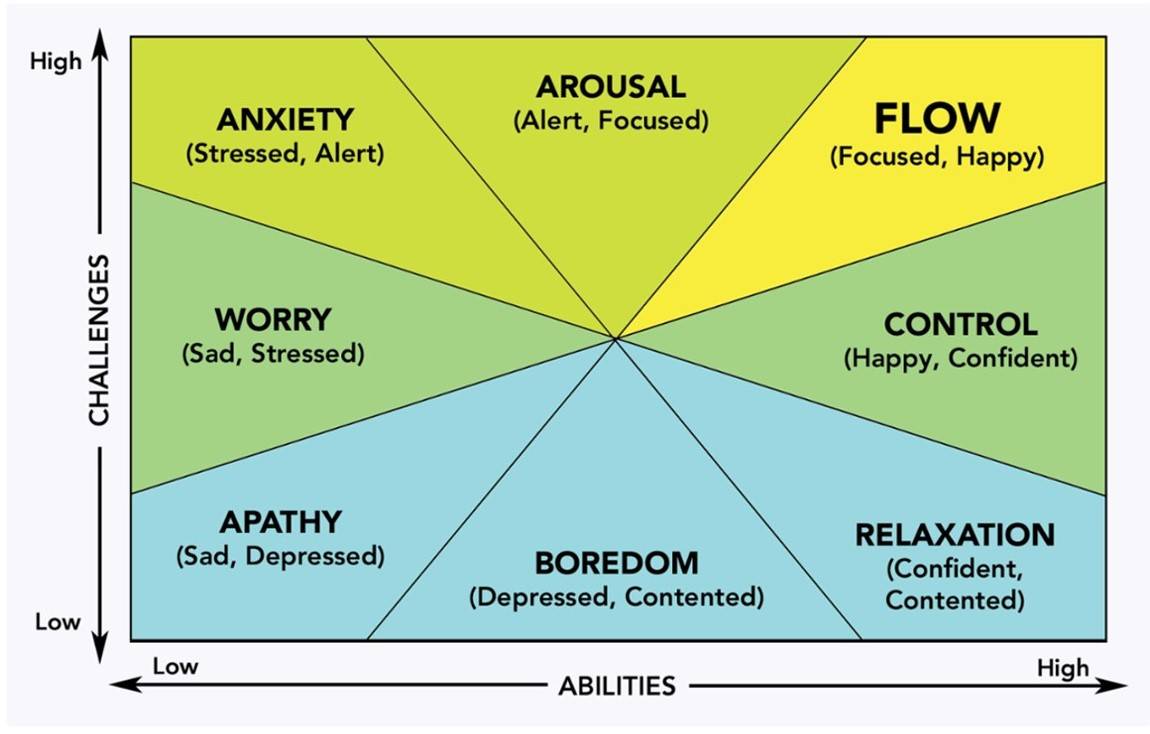 What is the flow state