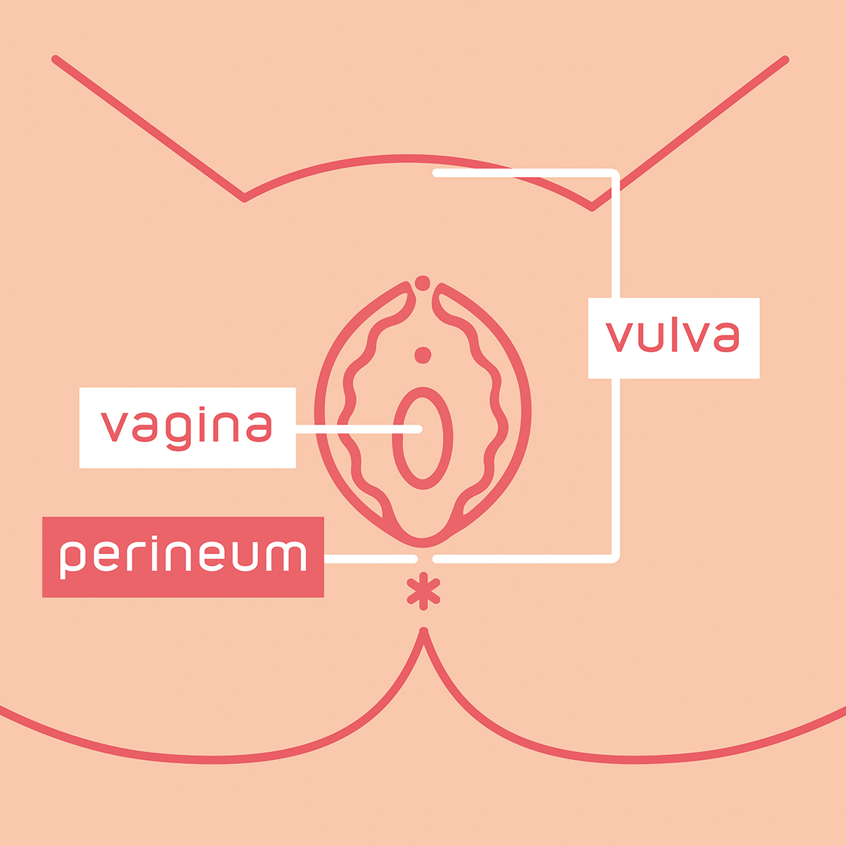 vaginal massage by midwife