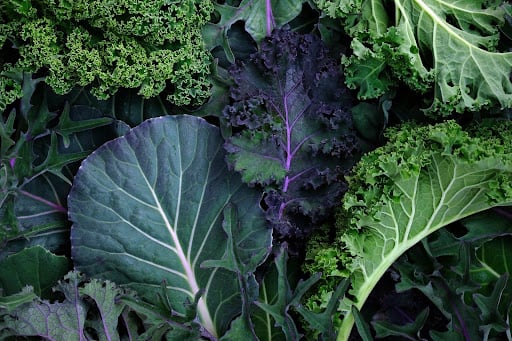 Green leafy vegetables like kale and cavolo nero are great foods for pregnancy.