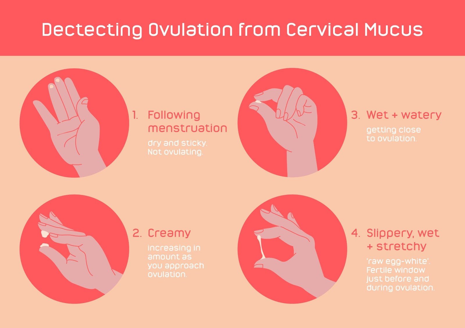 Yellow & Clear stretchy cervical mucus