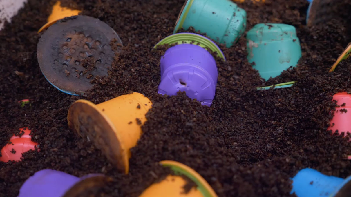 Compostable coffee pods in a compost bin