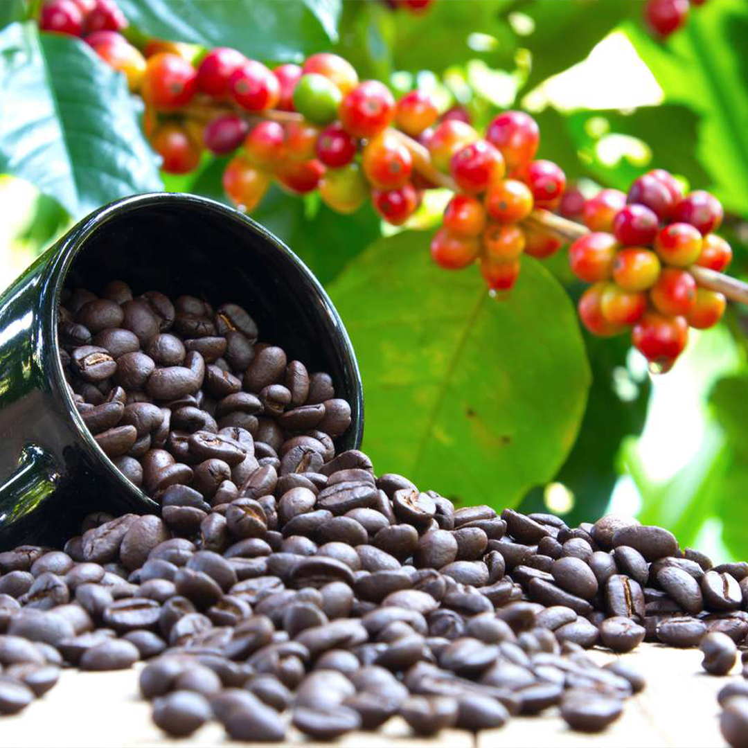 Coffee beans