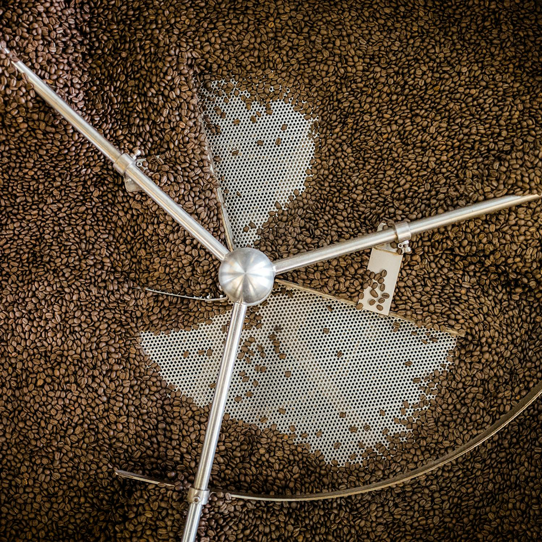 roasting arabica coffee beans