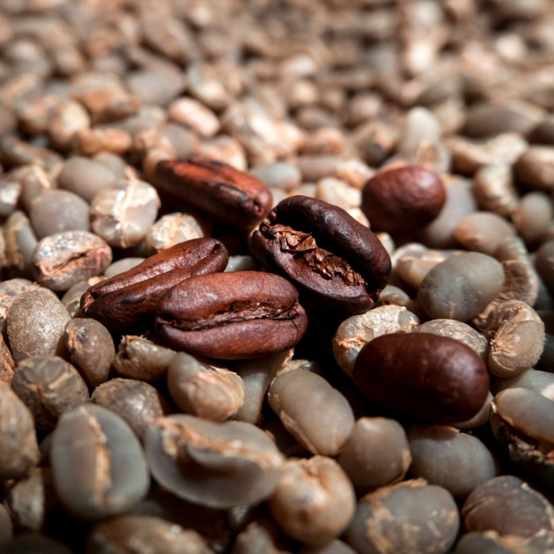 Arabica coffee beans