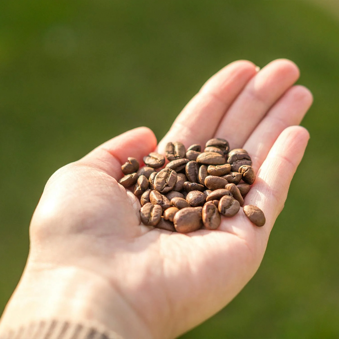 Coffee beans