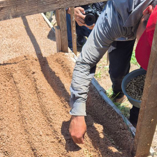 sustainable farming