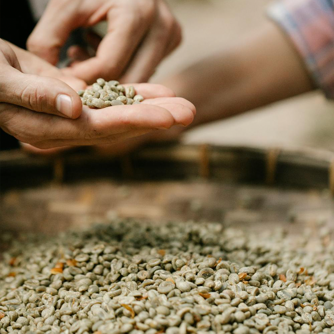 Green coffee beans 