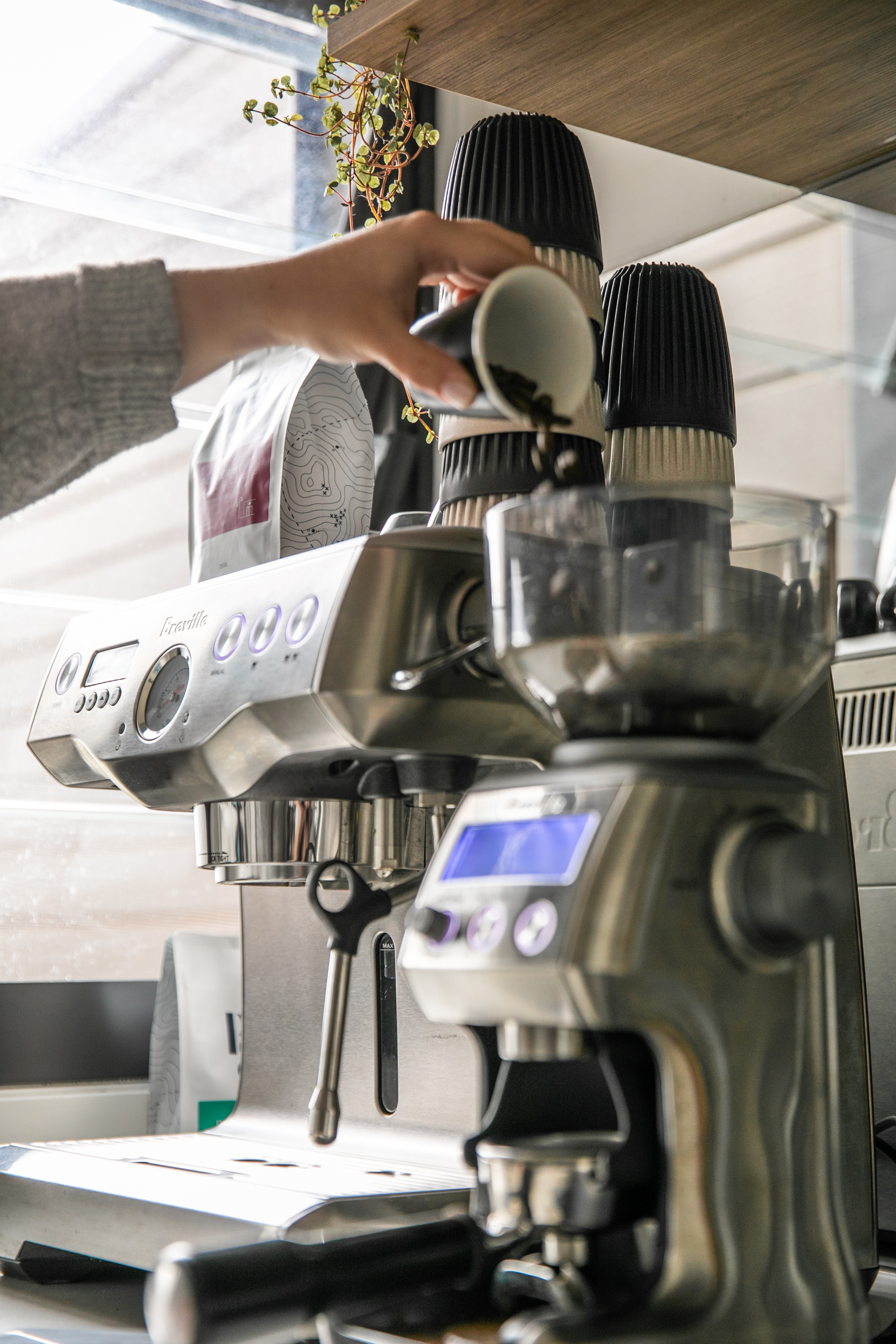 Pouring coffee beans into a Breville smart grinder