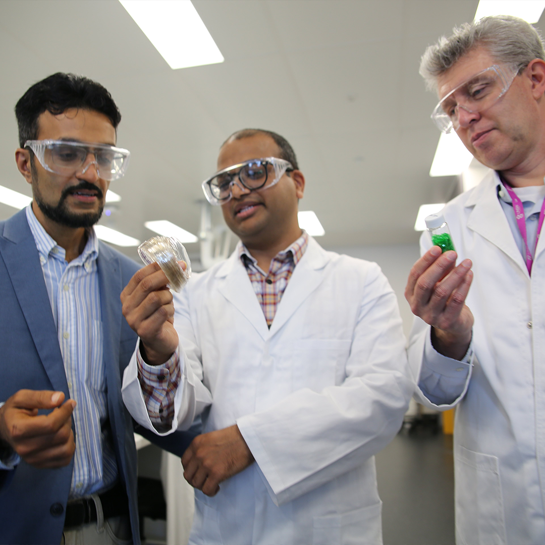 sustainable solutions for packaging