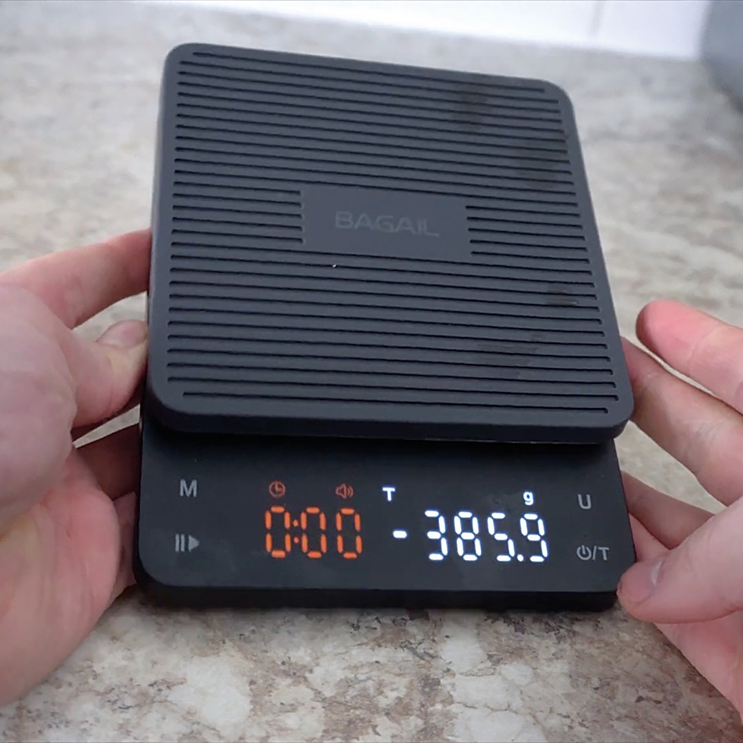 features of the Bagail scale