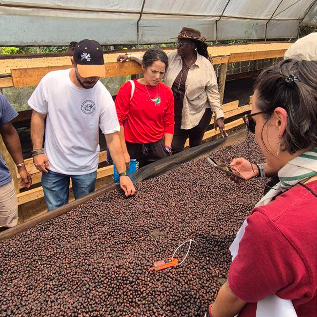 Kenya Fermentation Training Camp 