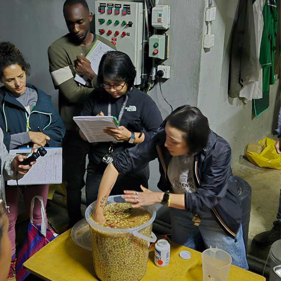 Fermentation process at Kenya Fermentation Training Camp 