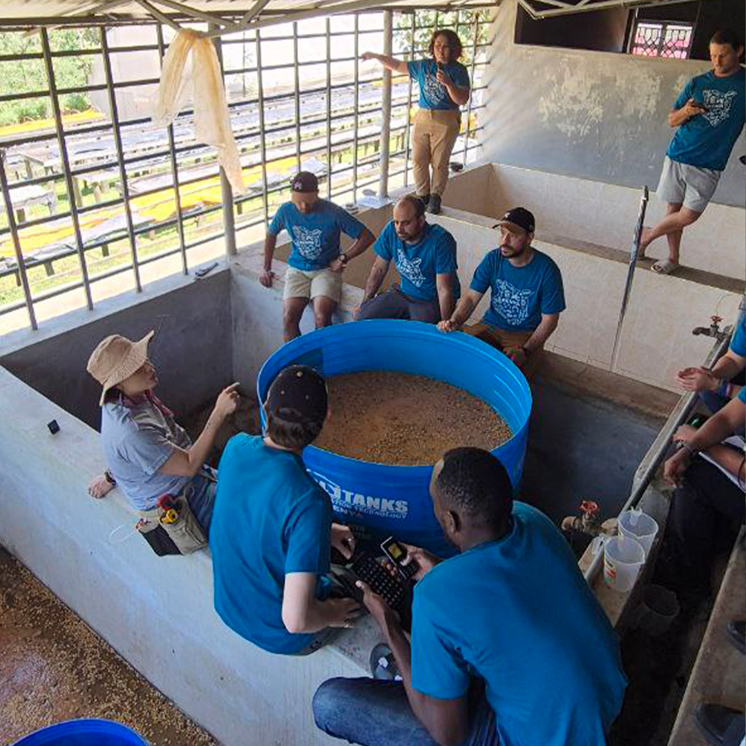 Kenya Fermentation Training Camp 