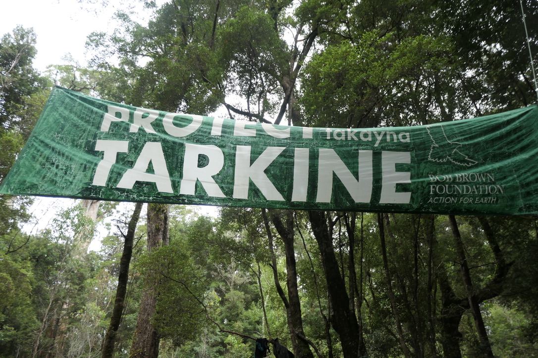 Protect Tarkine banner hanging between trees. Includes Bob Brown Foundation logo.