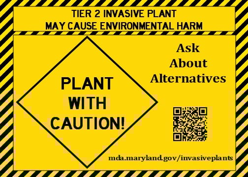 tier 2 invasive plant may cause environmental harm