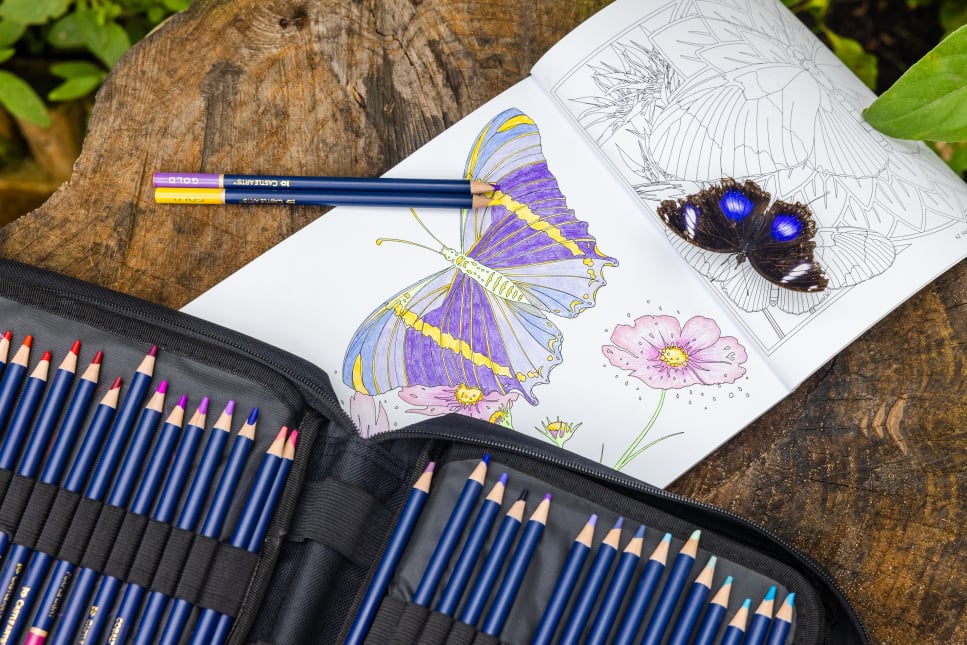 Castle Arts Amazing Butterflies Coloring Book laid out amongst greenery at a butterfly house, alongside a set of colored pencils. A butterfly rests on the page.