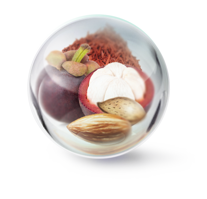 Legging anti cellulite nuit hot sale