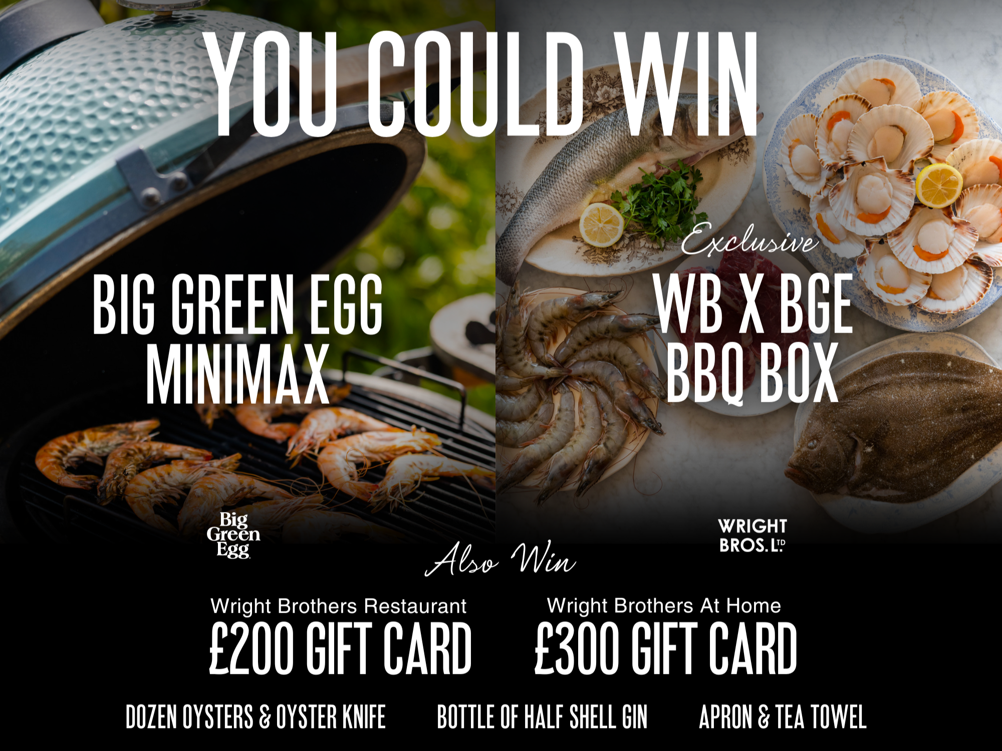 Big green egg outlet competition