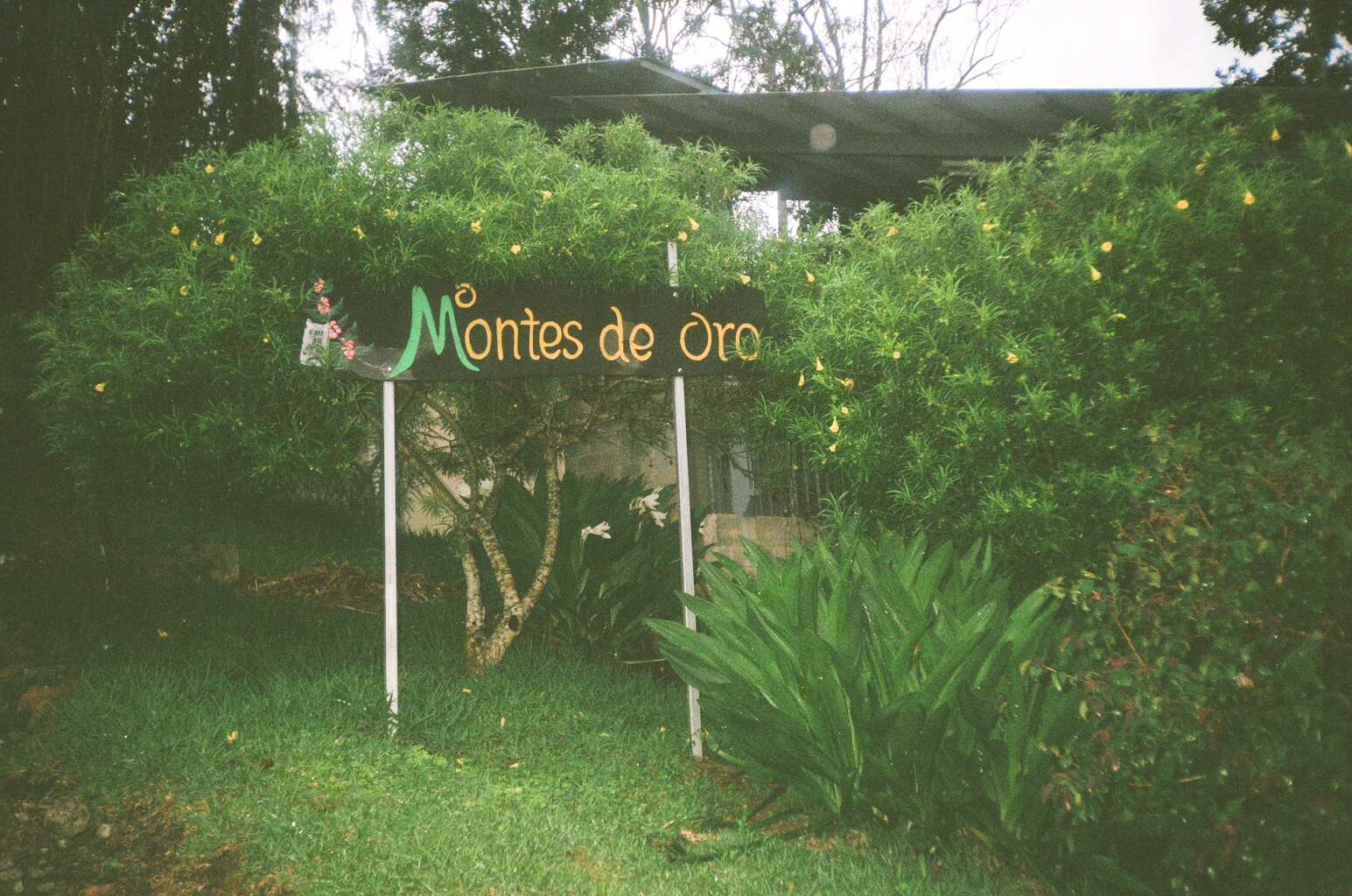Montes de Oro farmlevel reserve 