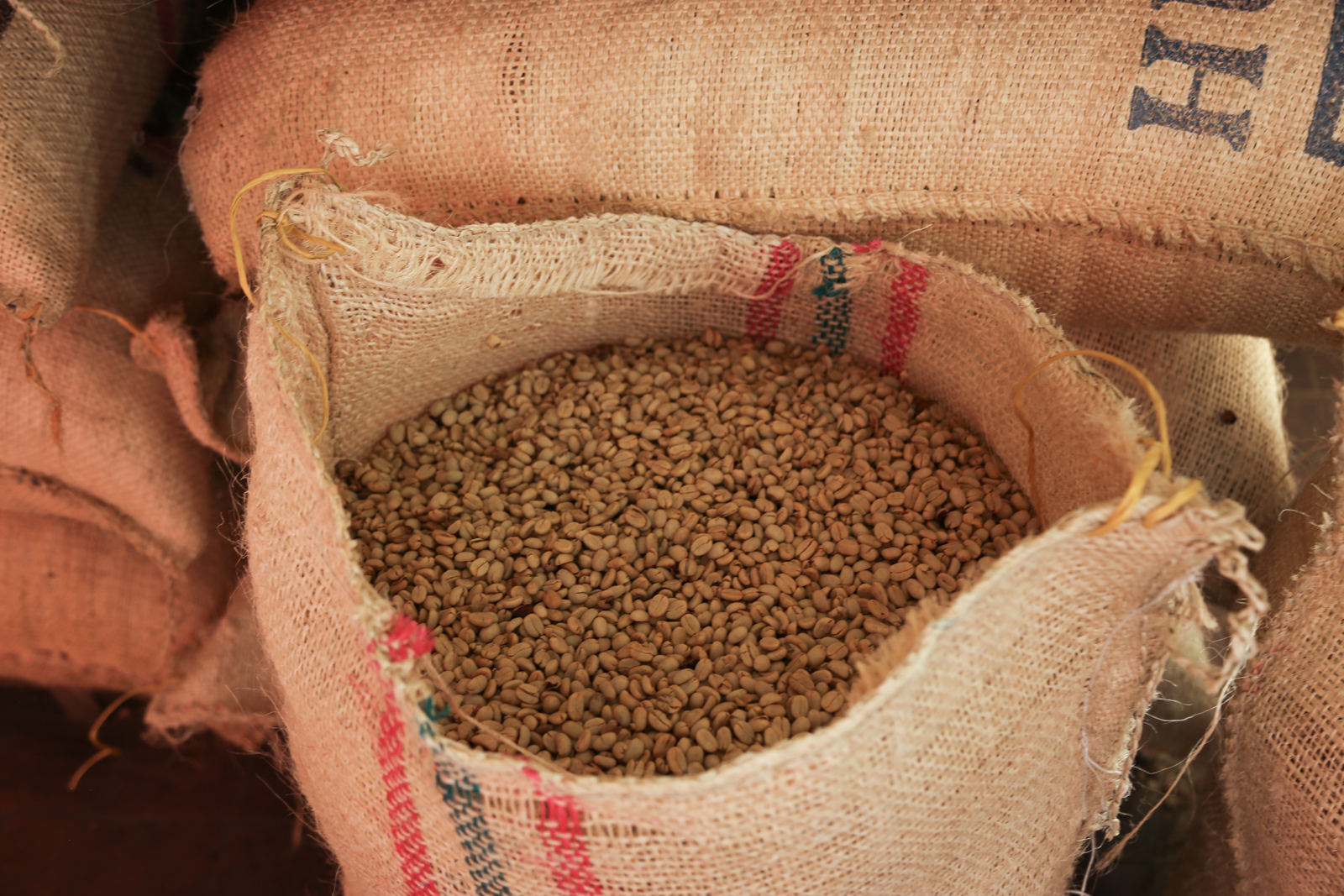 Anserma green coffee
