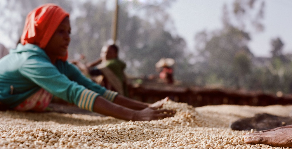 Rwacof Mill in Kigali