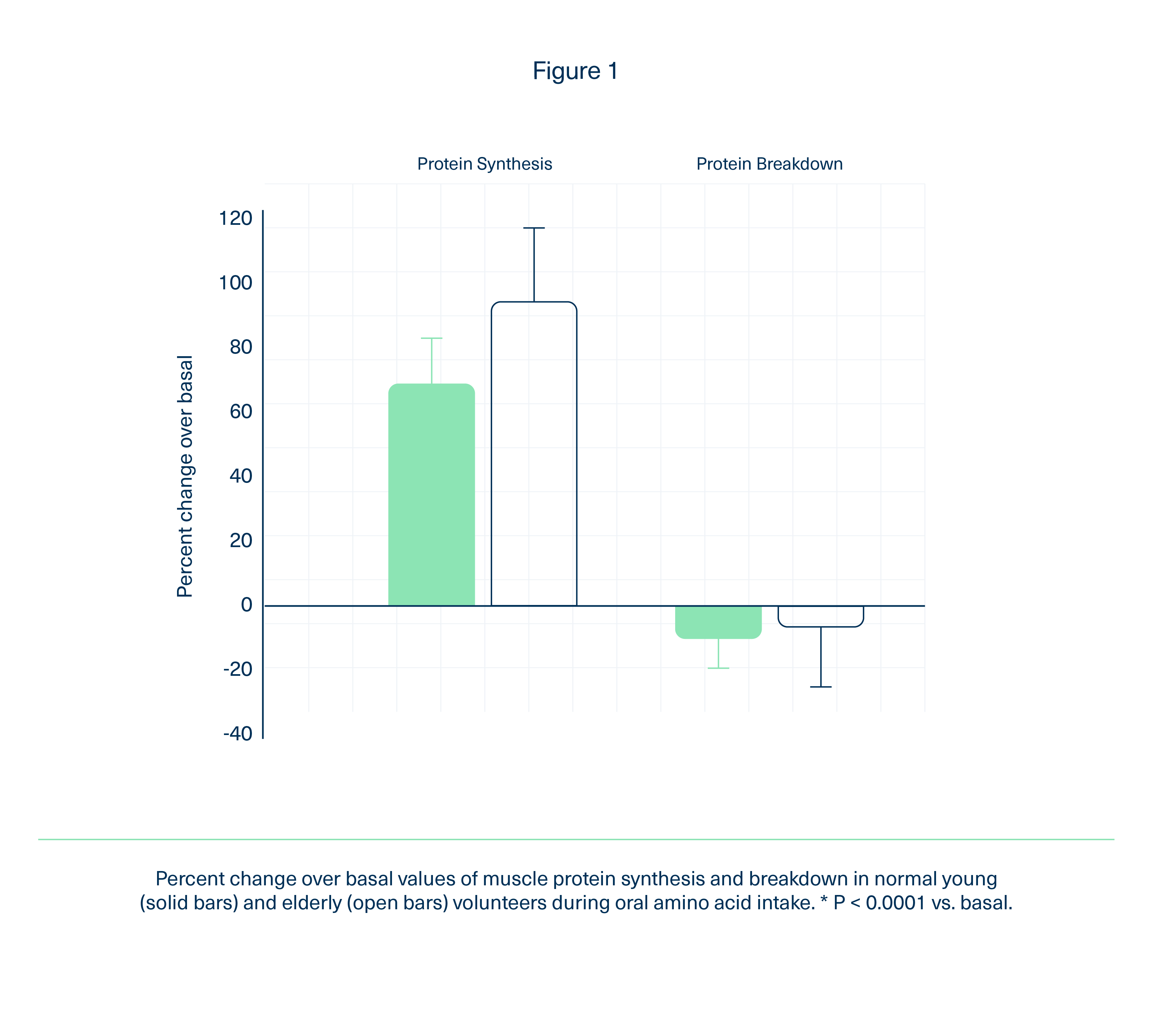 Amino Acids and Muscle Loss with Aging The Amino Company