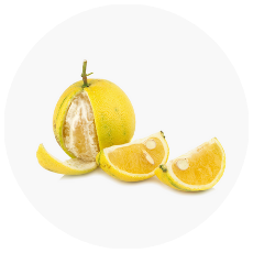 citrus bergamot orange