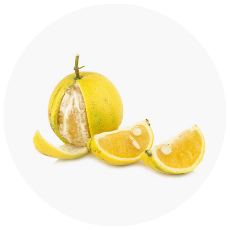 citrus bergamot orange