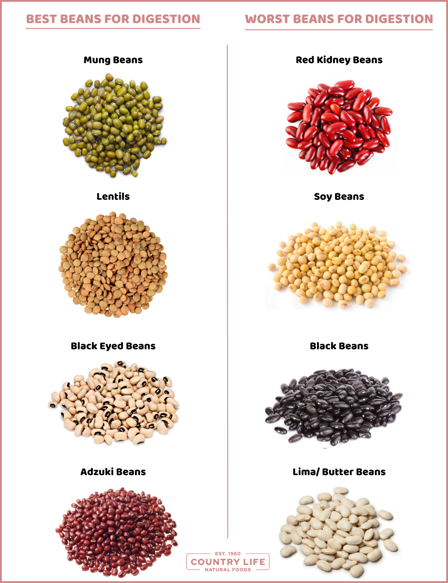 the best and worst beans for digestion