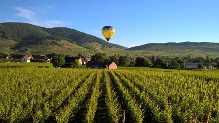 region alsace vin bio biodynamie naturel