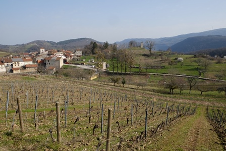savoie bugey region organic biodynamic wine natural