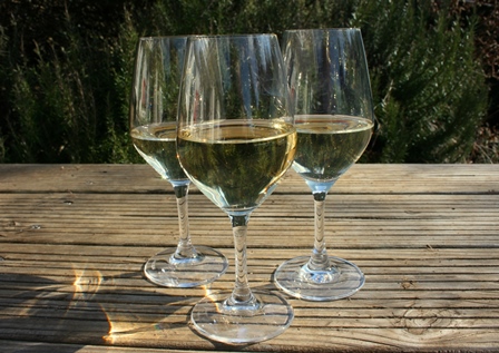 white wines selection bio natural biodynamic