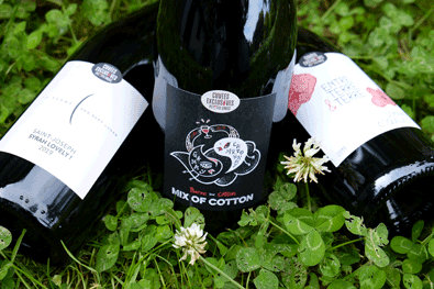vin rouge bio biodynamie nature selection
