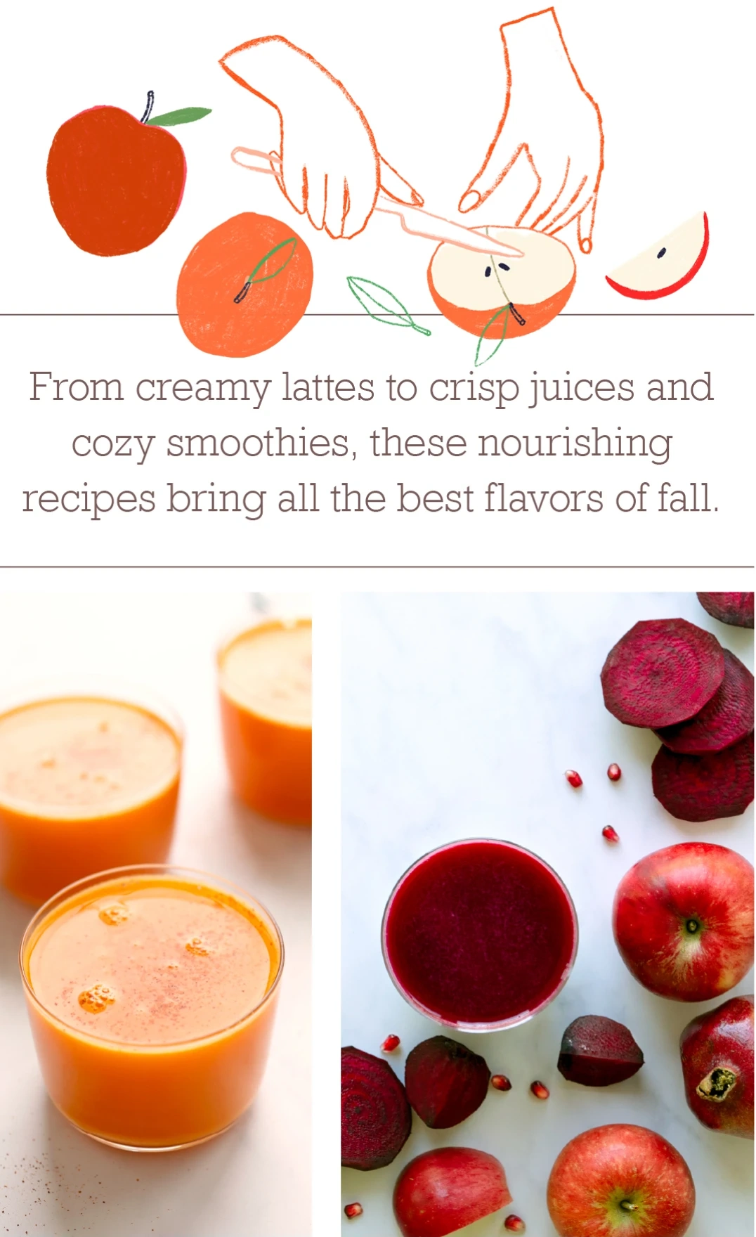 illustration of hands cutting apples with text from creamy lattes to crisp juices and cozy smoothies these nourishing recipes bring all the best flavors of fall with 2 photos below