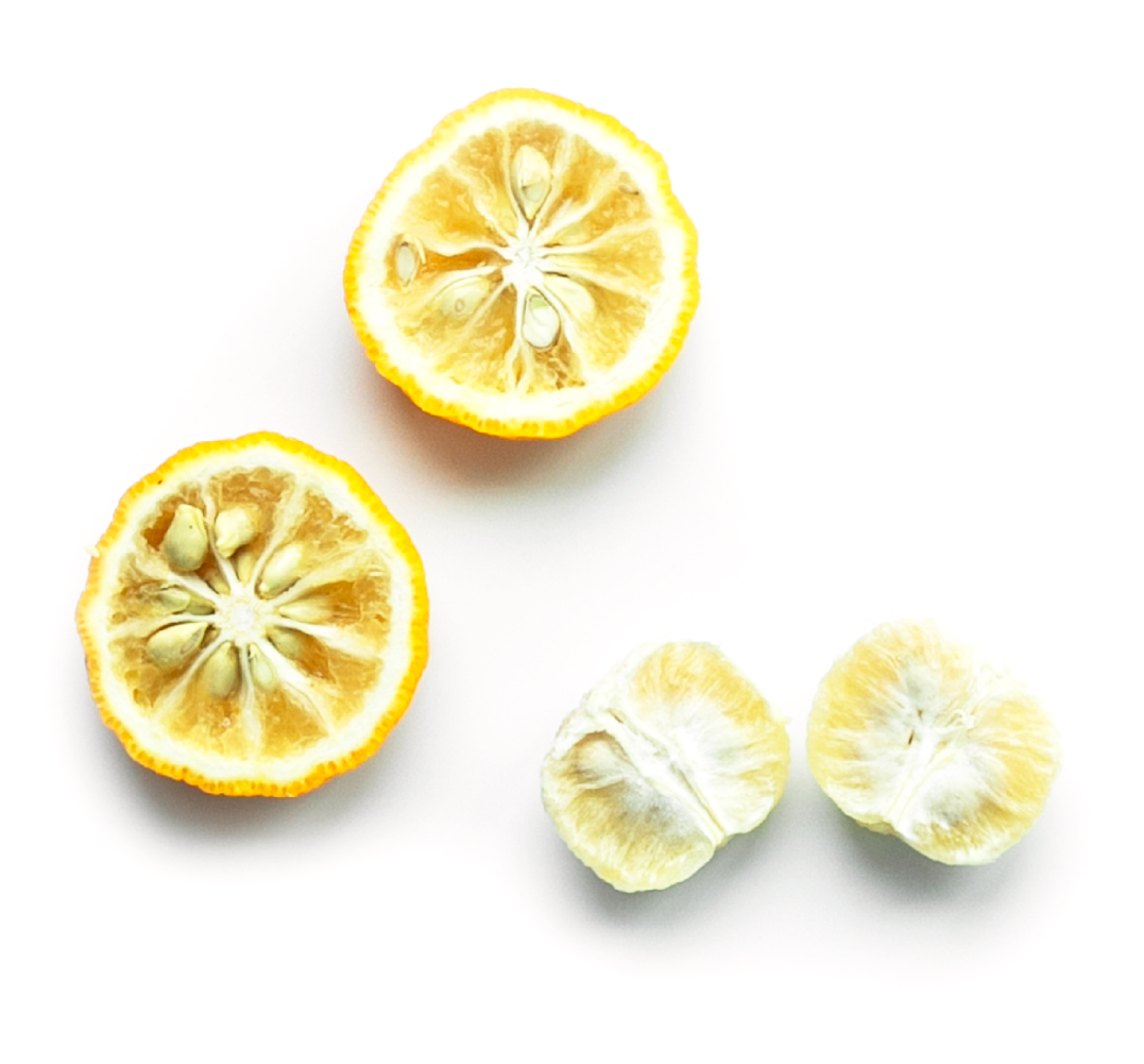 2 lemon halves with sections below