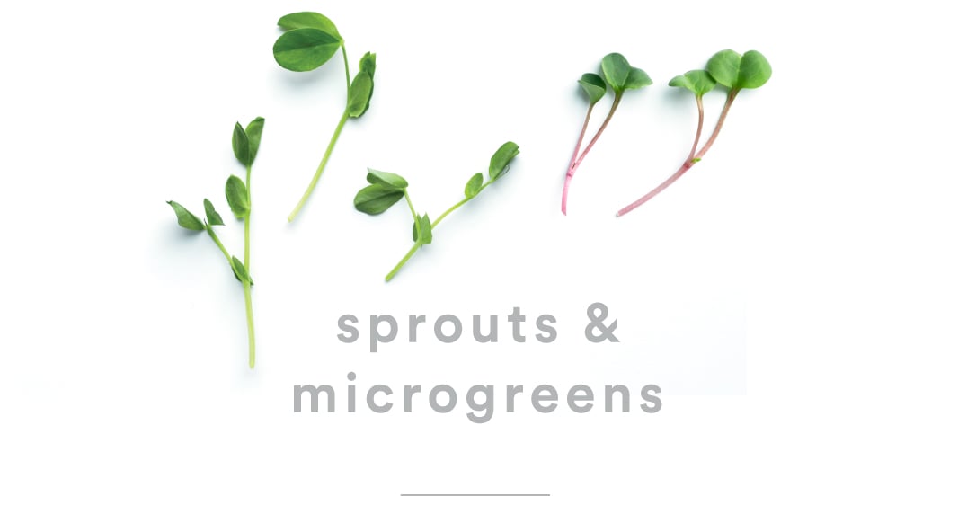 Sprouts and microgreens