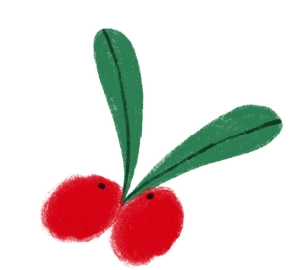 illustration of 2 cranberries