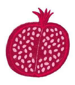 illustration of a pomegranite