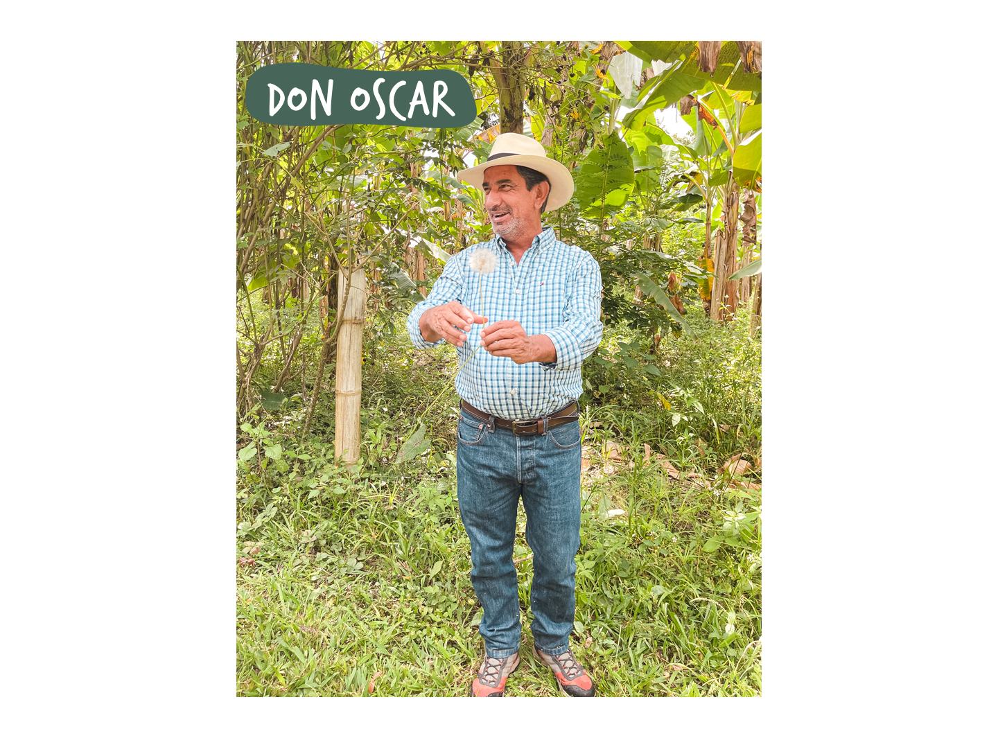 Photo of Don Oscar in one of his farms in Colombia's Coffee Region