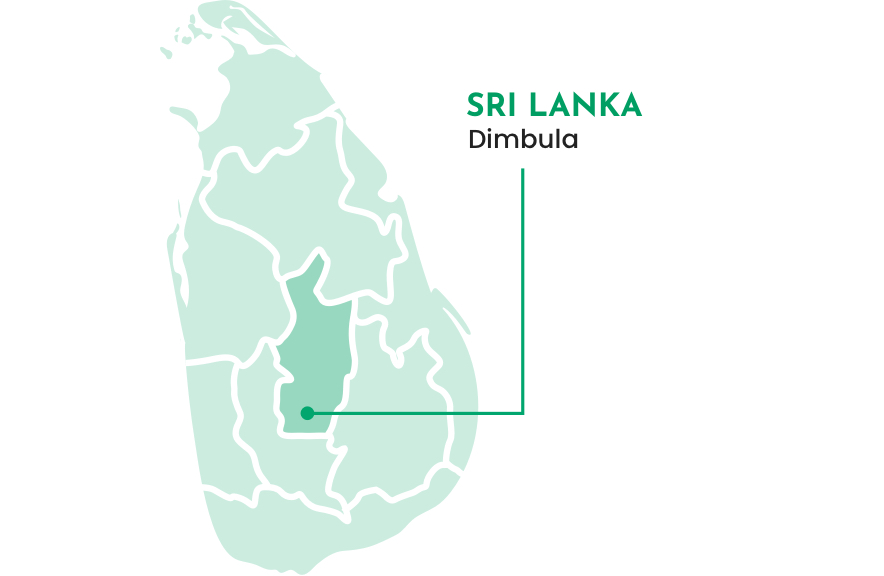 Sri Lanka - Dimbula