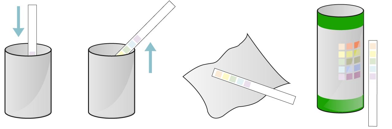 Comment utiliser les bandelettes de test d'urine