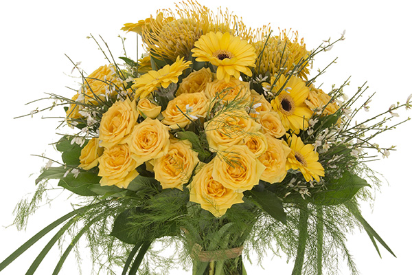 This lovely monochromatic hand tied bouquet mixes bright yellow roses, sunny Gerbera daisies, and pincushion protea with lily grass, plumosa, and other foliages.