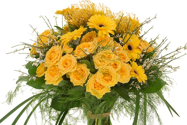 This lovely monochromatic hand tied bouquet mixes bright yellow roses, sunny Gerbera daisies, and pincushion protea with lily grass, plumosa, and other foliages.