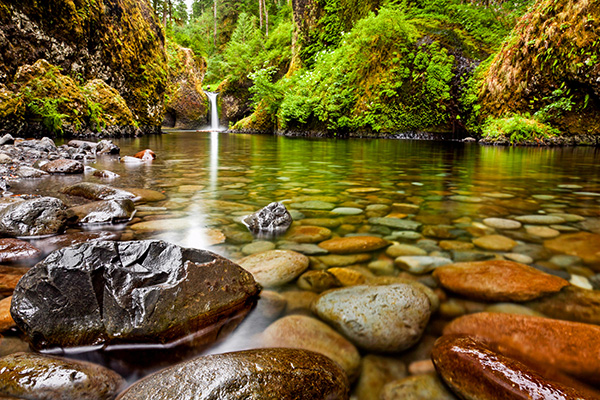A waterfall and stream in the Pacific Northwest