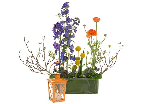 A parallel style arrangement in a split complement color harmony features blue delphinium, orange ranunculus, craspedia, a blooming dogwood branch, and a tiny orange lantern.