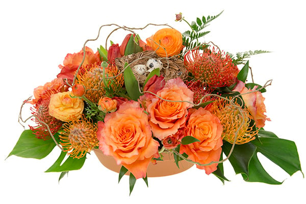 This beautiful centerpiece mixes tulips, ranunculus, garden roses, pincushion protea, leather fern, curly willow, and aspidistra leaves, then it features a petite bird's nest with quail eggs in it.