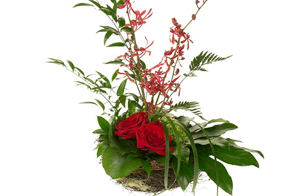 This unique floral design mixes red roses, blossoming spring branches, Italian ruscus, lily grass, leather fern, and aspidistra leaves all set into a bird's nest.